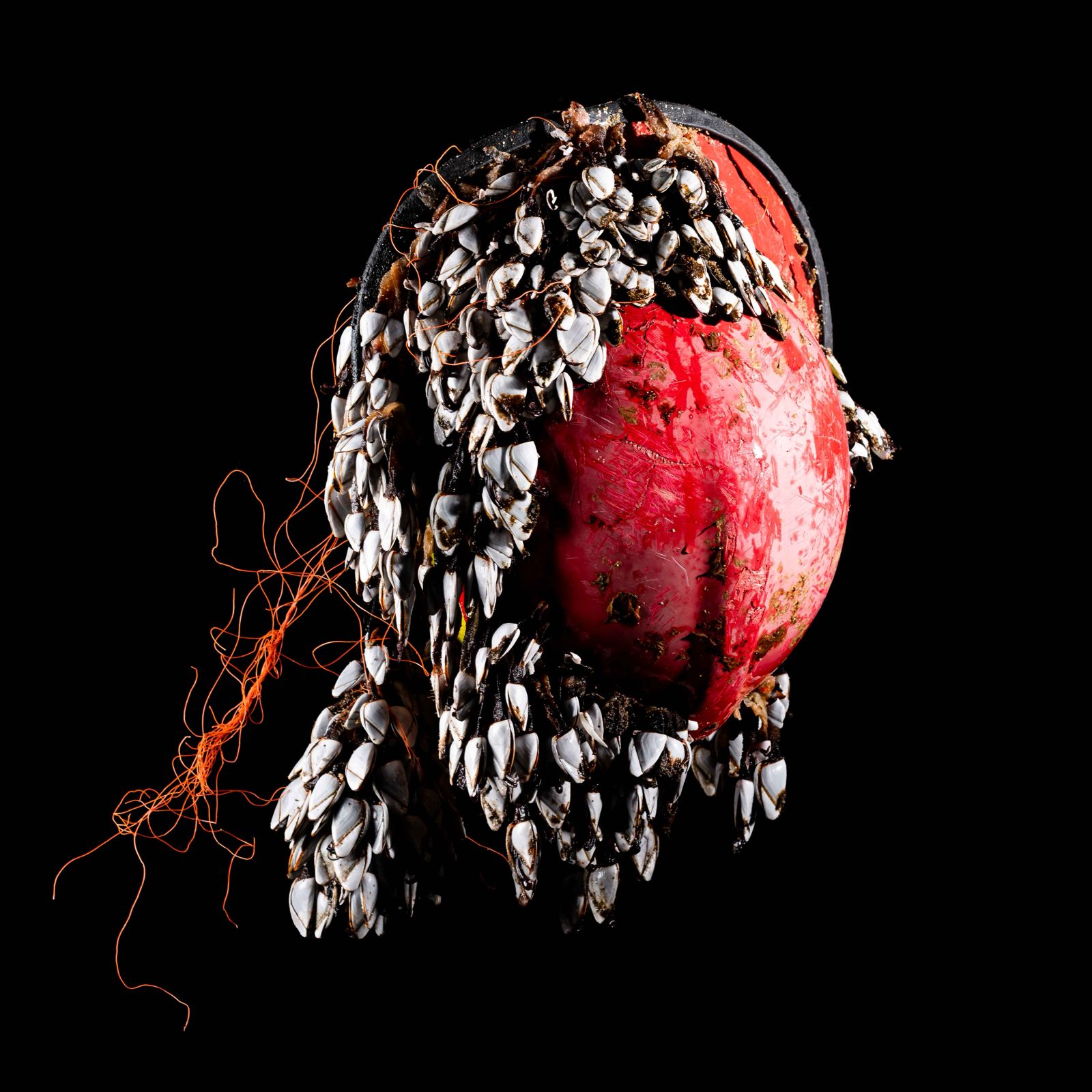 Esperança reencontrada by Nuno Antunes